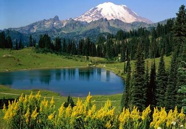 God's Creation